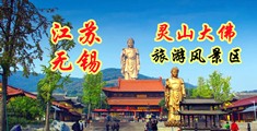 日日视频搞鸡江苏无锡灵山大佛旅游风景区